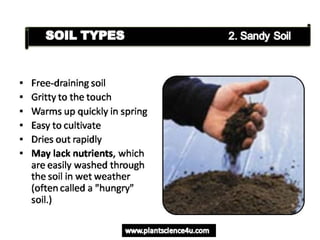 Soil Types