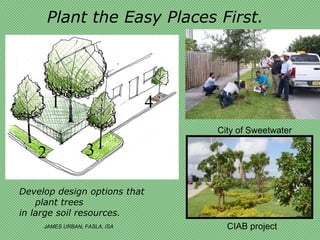 Plant the Easy Places First.




        1                      4
                                   City of Sweetwater

    2             3

Develop design options that
    plant trees
in large soil resources.
     JAMES URBAN, FASLA, ISA         CIAB project
 