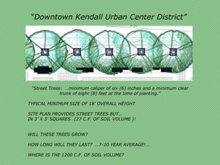 “Downtown Kendall Urban Center District”




 “Street Trees: …minimum caliper of six (6) inches and a minimum clear
              trunk of eight (8) feet at the time of planting.”

TYPICAL MINIMUM SIZE OF 18’ OVERALL HEIGHT

SITE PLAN PROVIDES STREET TREES BUT…
IN 3’ X 3’ SQUARES…(27 C.F. OF SOIL VOLUME )!


WILL THESE TREES GROW?

HOW LONG WILL THEY LAST? …7-10 YEAR AVERAGE!...

WHERE IS THE 1200 C.F. OF SOIL VOLUME?
 