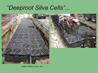 “Deeproot Silva Cells”...




     JAMES URBAN, FASLA, ISA
 