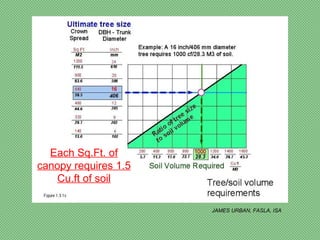 Each Sq.Ft. of
canopy requires 1.5
    Cu.ft of soil

                      JAMES URBAN, FASLA, ISA
 