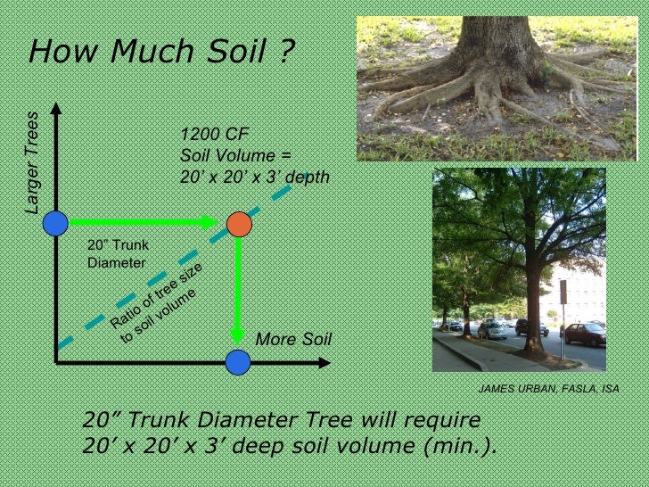 Soil Volume Structural Soils (Socash) 2008 Sept Miami Dade Ciab