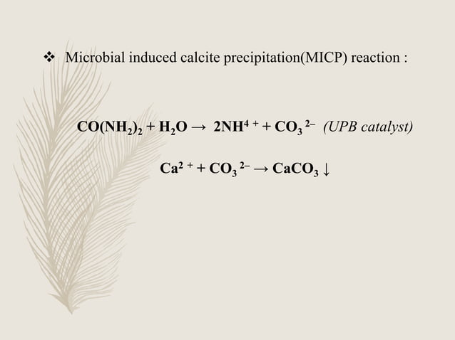 BIOCEMENTATION FOR SAND USING WASTE (CONTAIN CALCIUM SOURCE) | PPTX ...