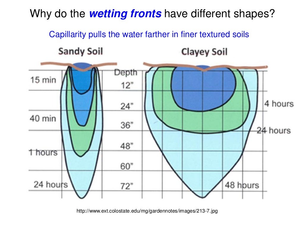 Understanding Soil Water