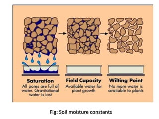 Soil water A Lecture By Mr Allah Dad Khan Visiting Professor the ...