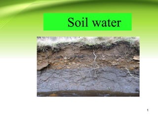 Soil water
1
 