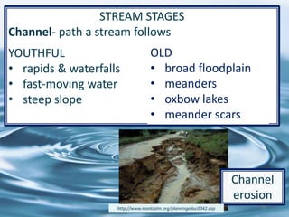 STREAM STAGES
Channel- path a stream follows
YOUTHFUL
• rapids & waterfalls
• fast-moving water
• steep slope
16
Channel
erosion
http://www.montcalm.org/planningeduc0042.asp
OLD
• broad floodplain
• meanders
• oxbow lakes
• meander scars
 