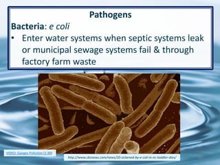 47
Pathogens
Bacteria: e coli
• Enter water systems when septic systems leak
or municipal sewage systems fail & through
factory farm waste
http://www.cbsnews.com/news/20-sickened-by-e-coli-in-nc-toddler-dies/
VIDEO: Ganges Pollution (1:30)
 