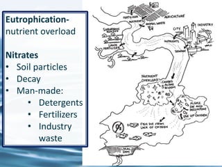 53
Eutrophication-
nutrient overload
Nitrates
• Soil particles
• Decay
• Man-made:
• Detergents
• Fertilizers
• Industry
waste
 
