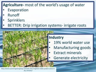 Agriculture- most of the world’s usage of water
• Evaporation
• Runoff
• Sprinklers
• BETTER: Drip irrigation systems- irrigate roots
76http://www.austinirrigationgroup.com/why-drip-irrigation-makes-perfect-sense-in-
dry-climates/
Industry
• 19% world water use
• Manufacturing goods
• Extract minerals
• Generate electricity
 