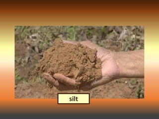 Soil and Water 1 Notes (Soil) | PPTX