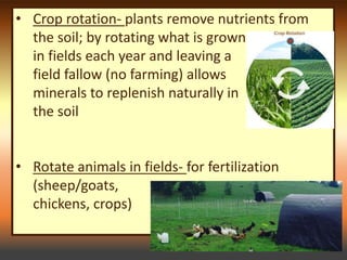 Crop Rotation Fallow Soil and Water 1 Notes (Soil) | PPTX