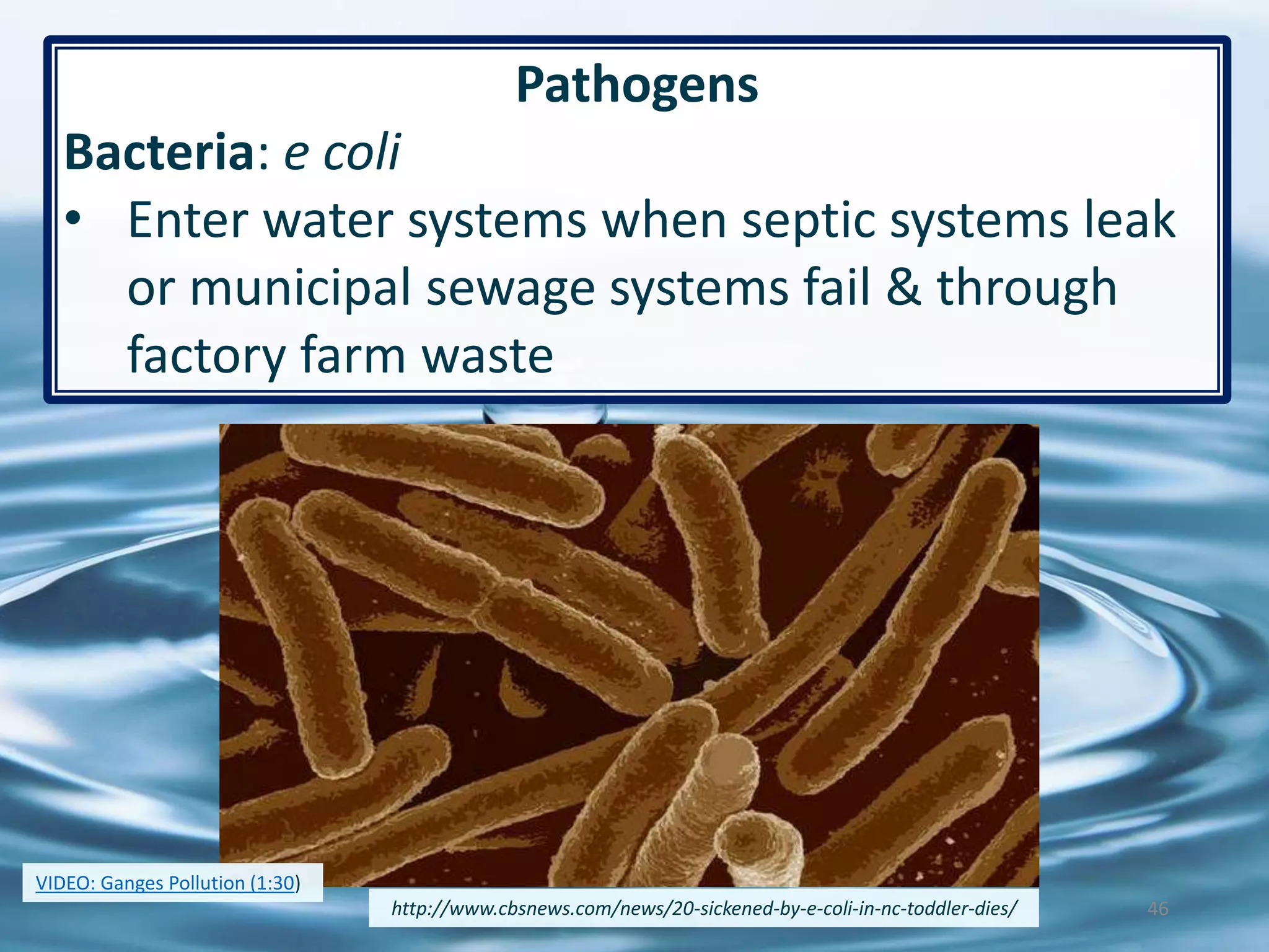 46
Pathogens
Bacteria: e coli
• Enter water systems when septic systems leak
or municipal sewage systems fail & through
factory farm waste
http://www.cbsnews.com/news/20-sickened-by-e-coli-in-nc-toddler-dies/
VIDEO: Ganges Pollution (1:30)
 