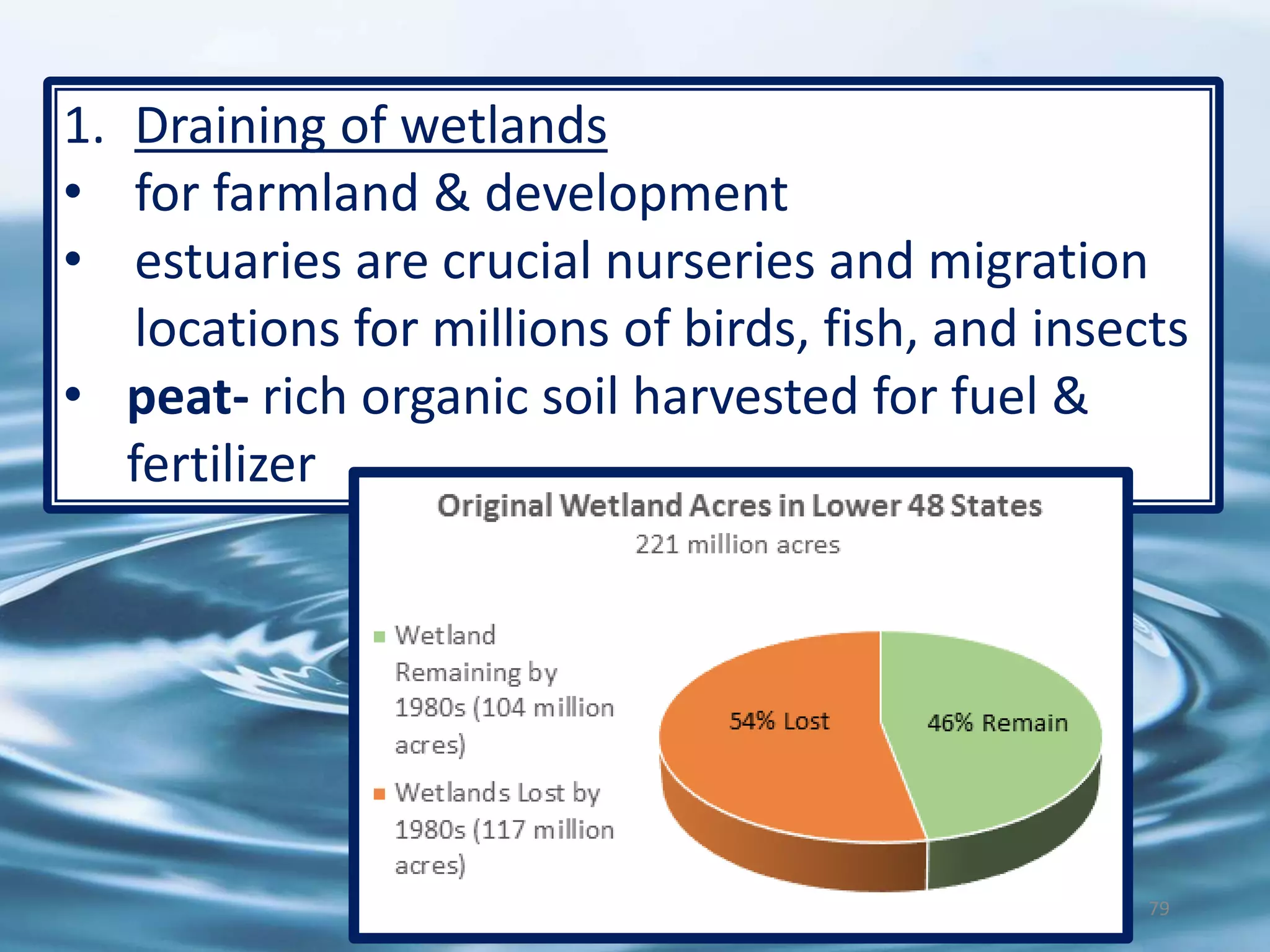 79
1. Draining of wetlands
• for farmland & development
• estuaries are crucial nurseries and migration
locations for millions of birds, fish, and insects
• peat- rich organic soil harvested for fuel &
fertilizer
 