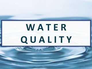 34
W A T E R
Q U A L I T Y
 
