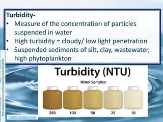 Turbidity-
• Measure of the concentration of particles
suspended in water
• High turbidity = cloudy/ low light penetration
• Suspended sediments of silt, clay, wastewater,
high phytoplankton
38
http://www.learnnc.org/lp/editions/mudcreek/6594
*VIDEO: Turbidity (5min)
 