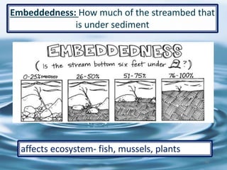 40
Embeddedness: How much of the streambed that
is under sediment
affects ecosystem- fish, mussels, plants
 