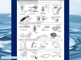 45*VIDEO: Biotic Index (11min)
 