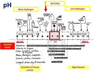 50
NEUTRAL
Solubility of heavy
metals
Algal blooms
More Hydrogen Less Hydrogen
HIGHER
TEMP.
pH
 