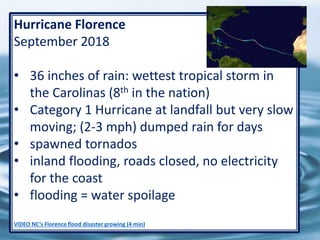 68
Hurricane Florence
September 2018
• 36 inches of rain: wettest tropical storm in
the Carolinas (8th in the nation)
• Category 1 Hurricane at landfall but very slow
moving; (2-3 mph) dumped rain for days
• spawned tornados
• inland flooding, roads closed, no electricity
for the coast
• flooding = water spoilage
VIDEO NC’s Florence flood disaster growing (4 min)
 