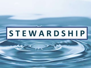 69
S T E W A R D S H I P
 