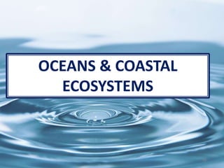 78
OCEANS & COASTAL
ECOSYSTEMS
 