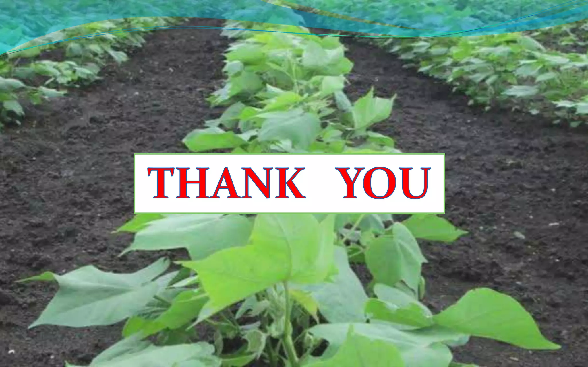 Soil & Water Analysis ppt  01,03