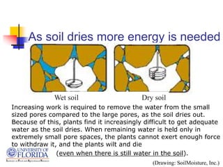 As soil dries more energy is needed
Increasing work is required to remove the water from the small
sized pores compared to the large pores, as the soil dries out.
Because of this, plants find it increasingly difficult to get adequate
water as the soil dries. When remaining water is held only in
extremely small pore spaces, the plants cannot exert enough force
to withdraw it, and the plants wilt and die
(even when there is still water in the soil).
(Drawing: SoilMoisture, Inc.)
Wet soil Dry soil
 