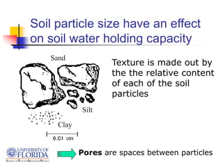 Soil particle size have an effect
on soil water holding capacity
Clay
Silt
Sand
Texture is made out by
the the relative content
of each of the soil
particles
Pores are spaces between particles
 