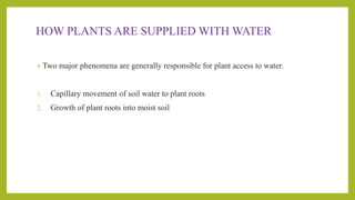 HOW PLANTS ARE SUPPLIED WITH WATER
• Two major phenomena are generally responsible for plant access to water.
1. Capillary movement of soil water to plant roots
2. Growth of plant roots into moist soil
 