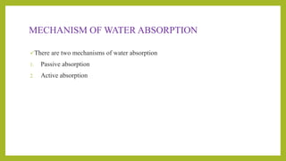MECHANISM OF WATER ABSORPTION
There are two mechanisms of water absorption
1. Passive absorption
2. Active absorption
 