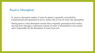 Passive Absorption
• In passive absorption uptake of water by plants is generally controlled by
transpirational pull generated at leaves surface due to loss of water into atmosphere.
• During passive water absorption suction force originally generated at leaf surface
moving down through a continuous column of water is transmitted to root system
and is responsible for the absorption of water from soil.
 