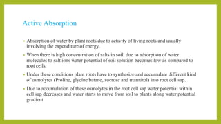 Active Absorption
• Absorption of water by plant roots due to activity of living roots and usually
involving the expenditure of energy.
• When there is high concentration of salts in soil, due to adsorption of water
molecules to salt ions water potential of soil solution becomes low as compared to
root cells.
• Under these conditions plant roots have to synthesize and accumulate different kind
of osmolytes (Proline, glycine batane, sucrose and mannitol) into root cell sap.
• Due to accumulation of these osmolytes in the root cell sap water potential within
cell sap decreases and water starts to move from soil to plants along water potential
gradient.
 