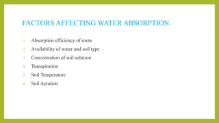 FACTORS AFFECTING WATER ABSORPTION
1. Absorption efficiency of roots
2. Availability of water and soil type
3. Concentration of soil solution
4. Transpiration
5. Soil Temperature
6. Soil Aeration
 