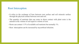 Root Interception
• It refers to the exchange of Ions between root surface and soil minerals surface
through the physical contact between root and soil.
• The quantity of nutrients that can come in direct contact with plant roots is the
amount in the volume of soil equal to volume of root.
• Roots can contact 1-3% of available soil nutrients but normally 1%.
• Root interception can be increased by mycorrhizal infection.
 