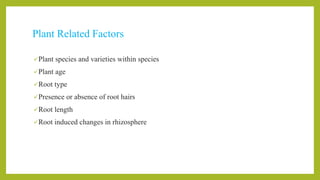 Plant Related Factors
Plant species and varieties within species
Plant age
Root type
Presence or absence of root hairs
Root length
Root induced changes in rhizosphere
 