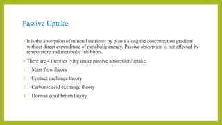 Passive Uptake
• It is the absorption of mineral nutrients by plants along the concentration gradient
without direct expenditure of metabolic energy. Passive absorption is not affected by
temperature and metabolic inhibitors.
• There are 4 theories lying under passive absorption/uptake.
1. Mass flow theory
2. Contact exchange theory
3. Carbonic acid exchange theory
4. Donnan equilibrium theory
 