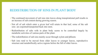 REDISTRIBUTION OF IONS IN PLANT BODY
The continued movement of salt ions into leaves along transpirational pull results in
an increase of salt content during growing season.
Not all of salt which enter a given leaf will retain in that leaf, some of the salt
ions are exported/transported back into stem.
Redistribution of salts with in plant body seems to be controlled largely by
metabolic activities of various parts of the plant.
The redistribution of salt ions mainly occur through xylem and phloem.
Salt ions tend to be moved from older leaves to younger leaves, reproductive
structure and metabollically active regions before the fall of older leaves.
 