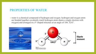 PROPERTIES OF WATER
• water is a chemical compound of hydrogen and oxygen. hydrogen and oxygen atom
are bonded together covalently (each hydrogen atom shares a single electron with
oxygen) and arranged in a V shaped structure at an angle of 104. 52A0 .
 