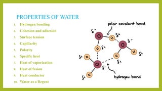 PROPERTIES OF WATER
1. Hydrogen bonding
2. Cohesion and adhesion
3. Surface tension
4. Capillarity
5. Polarity
6. Specific heat
7. Heat of vaporization
8. Heat of fusion
9. Heat conductor
10. Water as a Regent
 