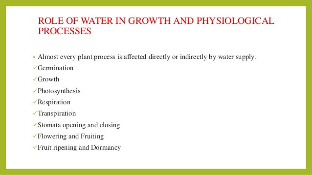 Physiological role of water