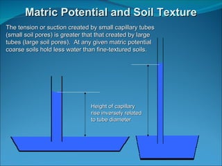 Metric Potential Soil Water Plant Relationships | PPT