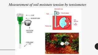 Measurement of soil moisture tension by tensiometer.
 