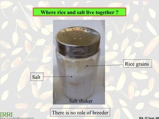 Salt Rice Proportion SOIL Where rice and salt live together.ppt