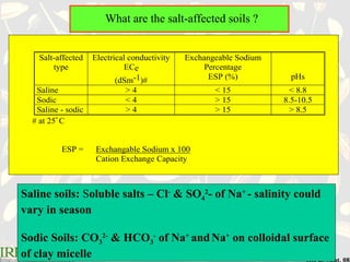 SOIL Where rice and salt live together.ppt