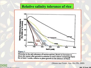 Salt Rice Proportion SOIL Where rice and salt live together.ppt