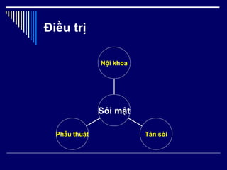 Điều trị Phẫu thuật Tán sỏi Nội khoa Sỏi mật 