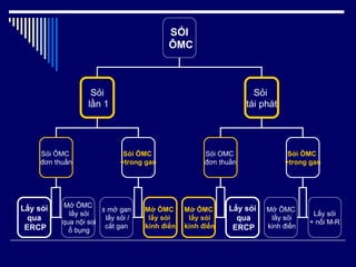 SỎI ÔMC Sỏi lần 1 Sỏi  tái phát Sỏi ÔMC  đơn thuần Sỏi OMC  đơn thuần Mở ÔMC lấy sỏi qua nội soi ổ bụng Lấy sỏi qua ERCP Lấy sỏi qua ERCP Mở ÔMC lấy sỏi kinh điển Sỏi ÔMC  +trong gan Sỏi ÔMC  +trong gan ± m ở gan lấy sỏi / cắt gan Mở ÔMC  lấy sỏi  kinh điển Mở ÔMC lấy sỏi kinh điển Lấy sỏi + nối M-R 