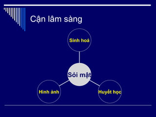 Cận lâm sàng Hình ảnh Huyết học Sinh hoá Sỏi mật 