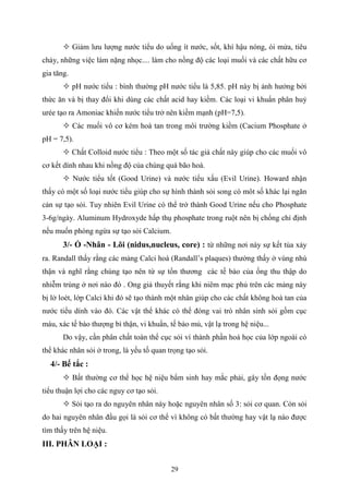 29
 Giảm lưu lượng nước tiểu do uống ít nước, sốt, khí hậu nóng, ói mửa, tiêu
chảy, những việc làm nặng nhọc.... làm cho nồng độ các loại muối và các chất hữu cơ
gia tăng.
 pH nước tiểu : bình thường pH nước tiểu là 5,85. pH này bị ảnh hưởng bởi
thức ăn và bị thay đổi khi dùng các chất acid hay kiềm. Các loại vi khuẩn phân huỷ
urée tạo ra Amoniac khiến nước tiểu trở nên kiềm mạnh (pH=7,5).
 Các muối vô cơ kém hoà tan trong môi trường kiềm (Cacium Phosphate ở
pH = 7,5).
 Chất Colloid nước tiểu : Theo một số tác giả chất này giúp cho các muối vô
cơ kết dính nhau khi nồng độ của chúng quá bão hoà.
 Nước tiểu tốt (Good Urine) và nước tiểu xấu (Evil Urine). Howard nhận
thấy có một số loại nước tiểu giúp cho sự hình thành sỏi song có môt số khác lại ngăn
cản sự tạo sỏi. Tuy nhiên Evil Urine có thể trở thành Good Urine nếu cho Phosphate
3-6g/ngày. Aluminum Hydroxyde hấp thụ phosphate trong ruột nên bị chống chỉ định
nếu muốn phòng ngừa sự tạo sỏi Calcium.
3/- Ổ -Nhân - Lõi (nidus,nucleus, core) : từ những nơi này sự kết tủa xảy
ra. Randall thấy rằng các mảng Calci hoá (Randall’s plaques) thường thấy ở vùng nhú
thận và nghĩ rằng chúng tạo nên từ sự tổn thương các tế bào của ống thu thập do
nhiễm trùng ở nơi nào đó . Ong giả thuyết rằng khi niêm mạc phủ trên các mảng này
bị lở loét, lớp Calci khi đó sẽ tạo thành một nhân giúp cho các chất không hoà tan của
nước tiểu dính vào đó. Các vật thể khác có thể đóng vai trò nhân sinh sỏi gồm cục
máu, xác tế bào thượng bì thận, vi khuẩn, tế bào mủ, vật lạ trong hệ niệu...
Do vậy, cần phân chất toàn thể cục sỏi vì thành phần hoá học của lớp ngoài có
thể khác nhân sỏi ở trong, là yếu tố quan trọng tạo sỏi.
4/- Bế tắc :
 Bất thường cơ thể học hệ niệu bẩm sinh hay mắc phải, gây tồn đọng nước
tiểu thuận lợi cho các nguy cơ tạo sỏi.
 Sỏi tạo ra do nguyên nhân này hoặc nguyên nhân số 3: sỏi cơ quan. Còn sỏi
do hai nguyên nhân đầu gọi là sỏi cơ thể vì không có bất thường hay vật lạ nào được
tìm thấy trên hệ niệu.
III. PHÂN LOẠI :
 